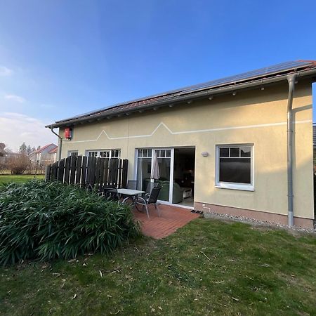 הרינגסדורף Ferienwohnung Am Muehlenkamp מראה חיצוני תמונה